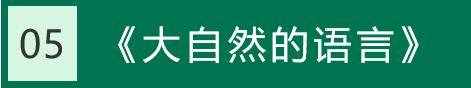 八下語文課本（生字詞注音+生字詞解釋）匯總，考試必考