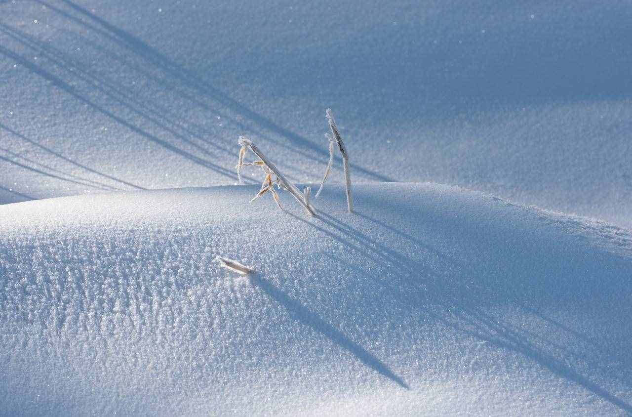 16首經(jīng)典詠雪詩(shī)詞，冬如畫，雪如詩(shī)，賞盡冬雪之雪