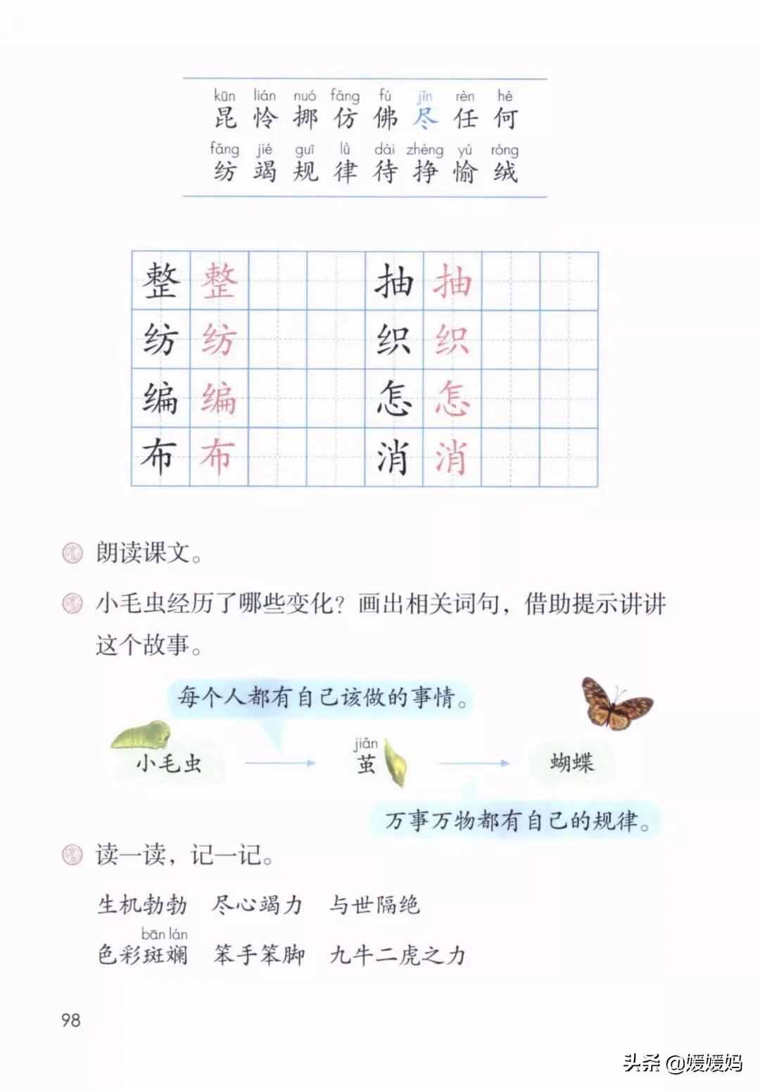 二年級(jí)下冊(cè)語(yǔ)文課文22《小毛蟲(chóng)》圖文詳解及同步練習(xí)