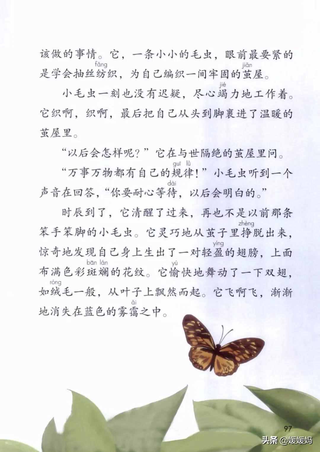 二年級(jí)下冊(cè)語(yǔ)文課文22《小毛蟲(chóng)》圖文詳解及同步練習(xí)