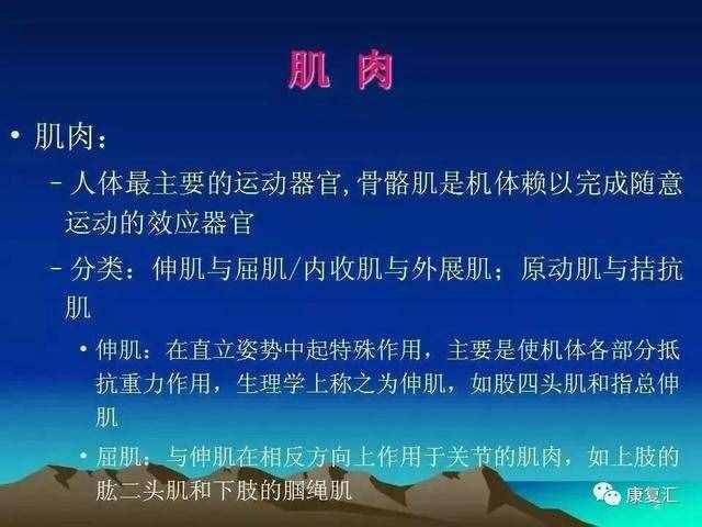 痙攣是什么意思(痙攣是什么癥狀)