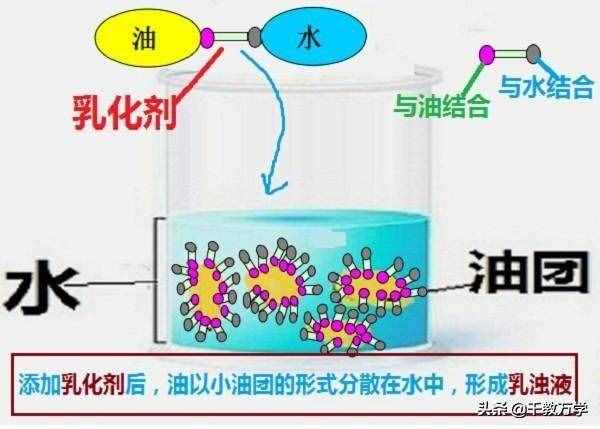 油脂在堿性條件下水解(油脂的水解反應(yīng)方程式)