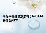 內(nèi)存aa是什么意思?。ˋ-DATA是什么內(nèi)存?）