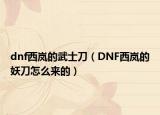 dnf西嵐的武士刀（DNF西嵐的妖刀怎么來的）