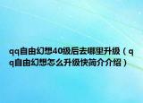 qq自由幻想40級(jí)后去哪里升級(jí)（qq自由幻想怎么升級(jí)快簡介介紹）