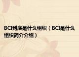 BCI到底是什么組織（BCI是什么組織簡介介紹）