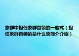 象群中擔任象群首領的一般式（擔任象群首領的是什么象簡介介紹）