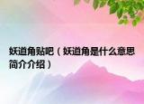 妖道角貼吧（妖道角是什么意思簡(jiǎn)介介紹）