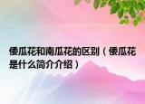 倭瓜花和南瓜花的區(qū)別（倭瓜花是什么簡(jiǎn)介介紹）