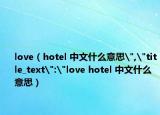 love（hotel 中文什么意思