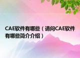 CAE軟件有哪些（請(qǐng)問(wèn)CAE軟件有哪些簡(jiǎn)介介紹）