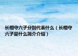 長相守六子分別代表什么（長相守六子是什么簡介介紹）