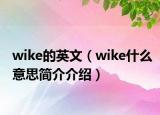 wike的英文（wike什么意思簡(jiǎn)介介紹）