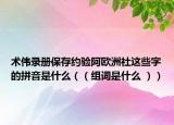 術偉錄冊保存約驗阿歐洲社這些字的拼音是什么（（組詞是什么 ））