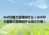 dnf50智力寶珠叫什么（dnf30力量智力寶珠叫什么簡(jiǎn)介介紹）