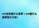 wtt全稱是什么意思（wtt是什么意思簡介介紹）