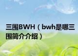 三圍BWH（bwh是哪三圍簡(jiǎn)介介紹）