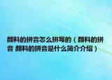 顏料的拼音怎么拼寫的（顏料的拼音 顏料的拼音是什么簡(jiǎn)介介紹）