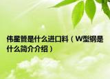 偉星管是什么進口料（W型鋼是什么簡介介紹）