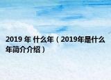 2019 年 什么年（2019年是什么年簡介介紹）