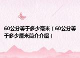 60公分等于多少毫米（60公分等于多少厘米簡(jiǎn)介介紹）