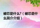 被芯是什么?（被芯是什么簡(jiǎn)介介紹）