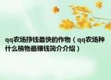 qq農(nóng)場掙錢最快的作物（qq農(nóng)場種什么植物最賺錢簡介介紹）