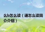 么b怎么讀（逼怎么讀簡(jiǎn)介介紹）