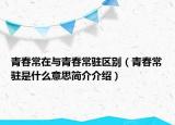 青春常在與青春常駐區(qū)別（青春常駐是什么意思簡(jiǎn)介介紹）