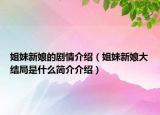 姐妹新娘的劇情介紹（姐妹新娘大結(jié)局是什么簡介介紹）