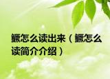 鱖怎么讀出來(lái)（鱖怎么讀簡(jiǎn)介介紹）