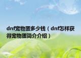 dnf寵物蛋多少錢(qián)（dnf怎樣獲得寵物蛋簡(jiǎn)介介紹）