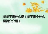 華華子是什么梗（華子是個什么梗簡介介紹）