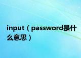 input（password是什么意思）