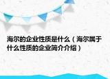 海爾的企業(yè)性質(zhì)是什么（海爾屬于什么性質(zhì)的企業(yè)簡介介紹）