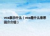 voa表示什么（voa是什么意思簡介介紹）