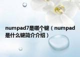 numpad7是哪個(gè)鍵（numpad是什么鍵簡(jiǎn)介介紹）