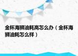 金杯海獅油耗高怎么辦（金杯海獅油耗怎么樣）