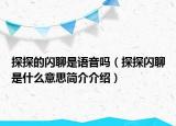 探探的閃聊是語音嗎（探探閃聊是什么意思簡介介紹）