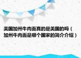 美國加州牛肉面真的是美國的嗎（加州牛肉面是哪個國家的簡介介紹）