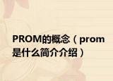 PROM的概念（prom是什么簡(jiǎn)介介紹）