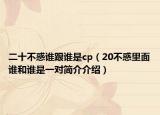 二十不惑誰跟誰是cp（20不惑里面誰和誰是一對簡介介紹）