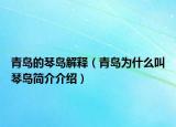 青島的琴島解釋（青島為什么叫琴島簡介介紹）