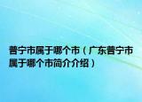 普寧市屬于哪個市（廣東普寧市屬于哪個市簡介介紹）