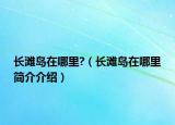 長灘島在哪里?（長灘島在哪里簡介介紹）