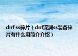 dnf ss碎片（dnf深淵ss裝備碎片有什么用簡介介紹）