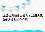 11級大風有多大威力（12級大風有多大威力簡介介紹）