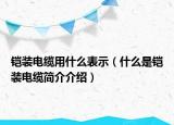 鎧裝電纜用什么表示（什么是鎧裝電纜簡(jiǎn)介介紹）