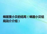 蝸居里小貝的結(jié)局（蝸居小貝結(jié)局簡(jiǎn)介介紹）