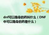 dnf可以隱身的藥叫什么（DNF中可以隱身的藥是什么）